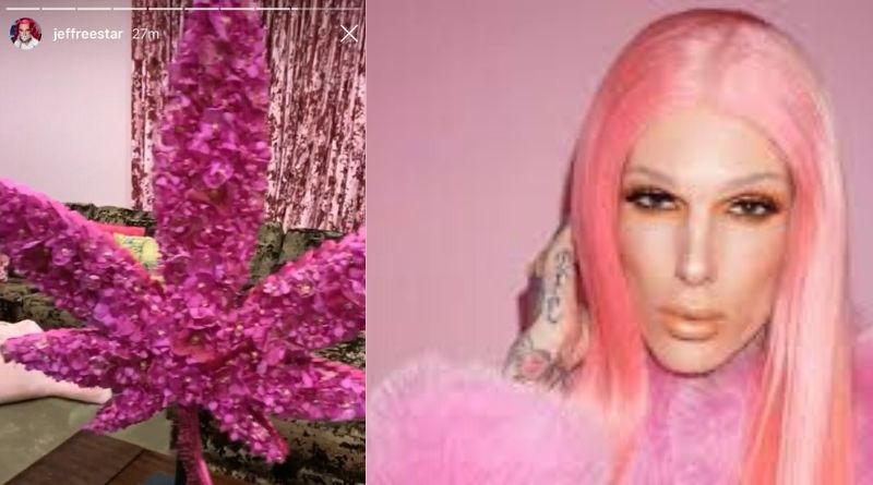 Jeffree shared a hot-pink marijuana leaf photo on his birthday on instagram