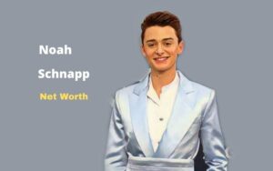 What is Noah Schnapp's Net Worth in 2025 and how does he make his money?