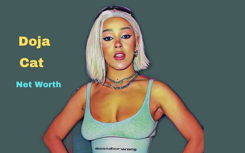Doja Cat's Net Worth 2023 Age, Height, Boyfriend, Biography, Parents