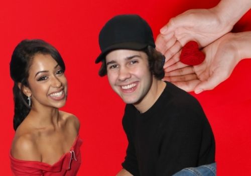 Who is David Dobrik's Girlfriend?