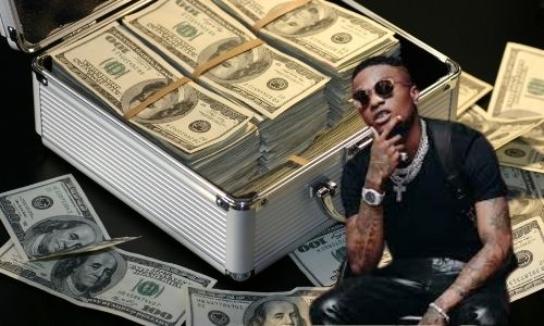 Wizkid's Net Worth in 2025: Sources of Income and Earnings