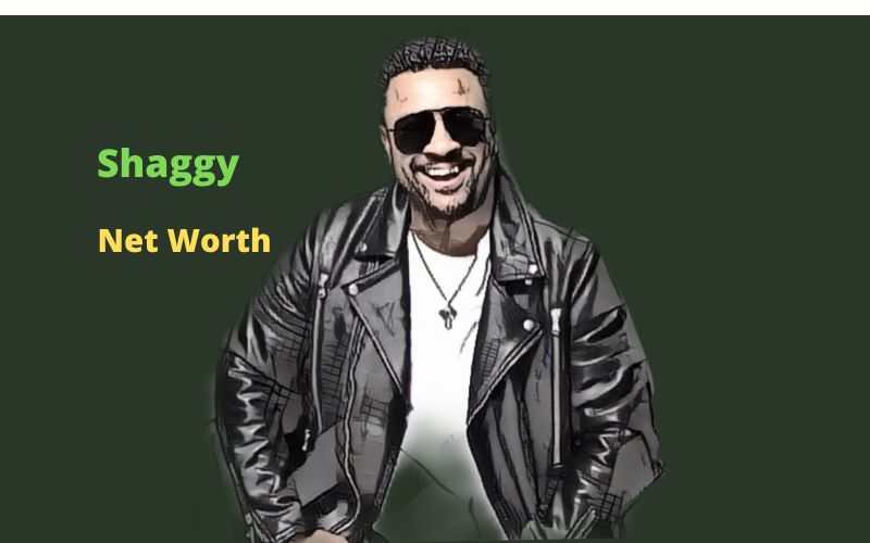 Shaggy's Net Worth 2024 Bio, Age, Wife, Kids, Career